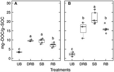 Vulnerability of Physically Protected Soil Organic Carbon to Loss Under Low Severity Fires